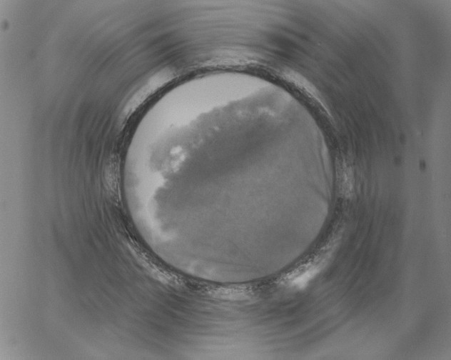 X0000066970874200604211904