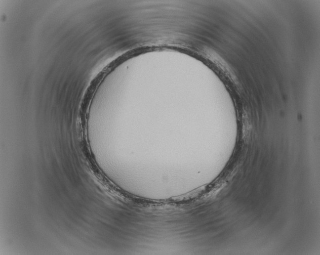 X0000066970876200604211904