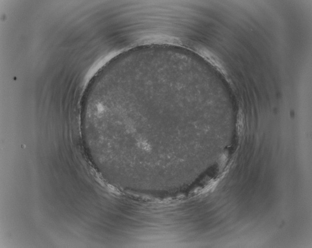 X0000066970877200604211904