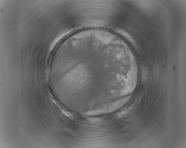 X0000066970878200604211904