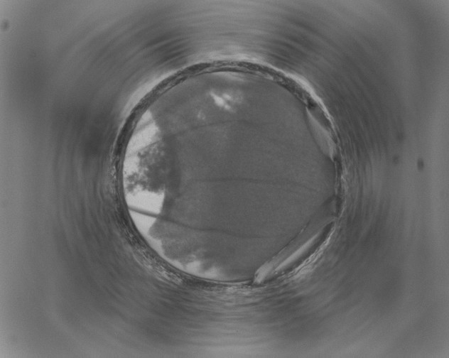 X0000066970879200604211904