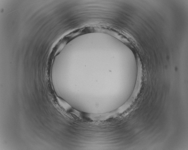 X0000066970880200604211904