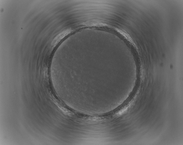 X0000066970881200604211904