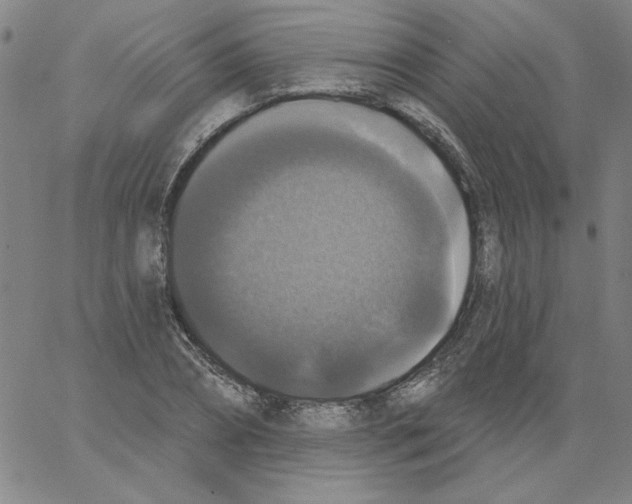 X0000066970882200604211904