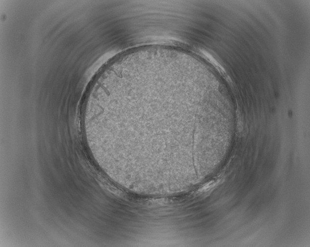 X0000066970883200604211904