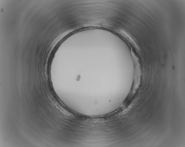 X0000066970884200604211904