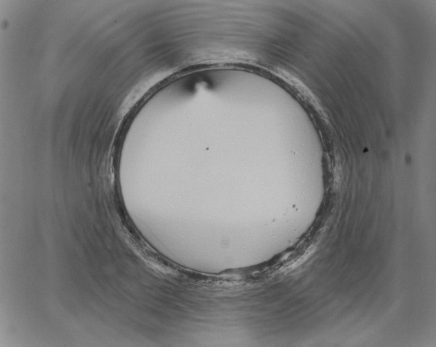 X0000066970885200604211904