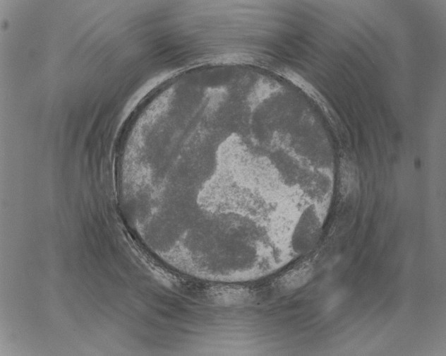 X0000066970886200604211904