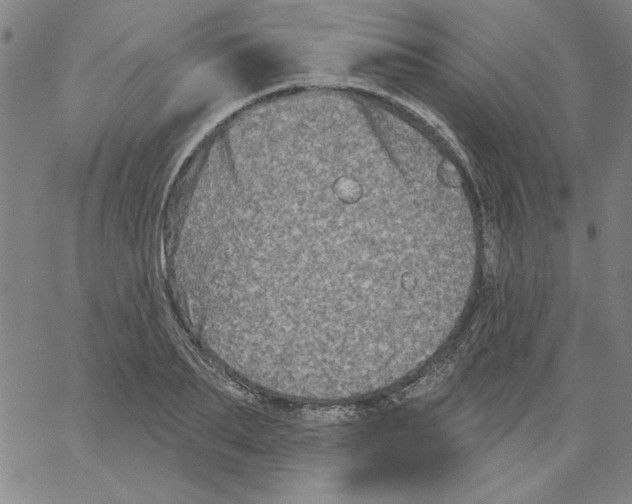 X0000066970887200604211903