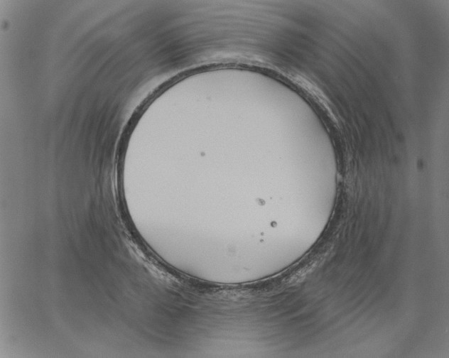 X0000066970888200604211903