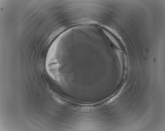 X0000066970889200604211903