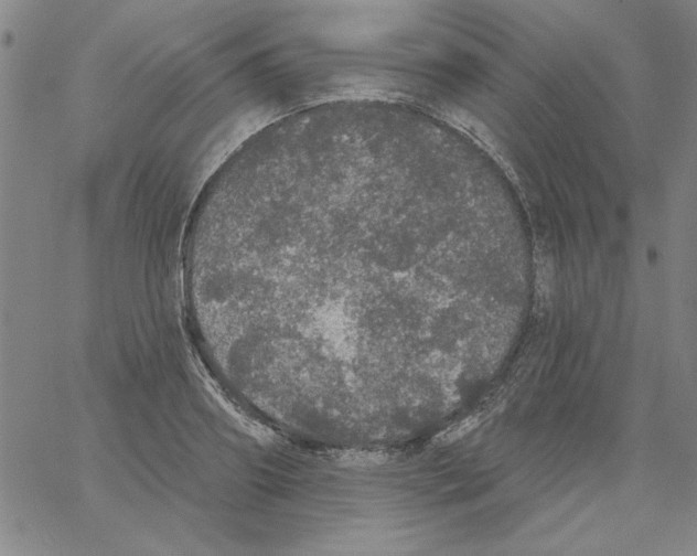 X0000066970890200604211903