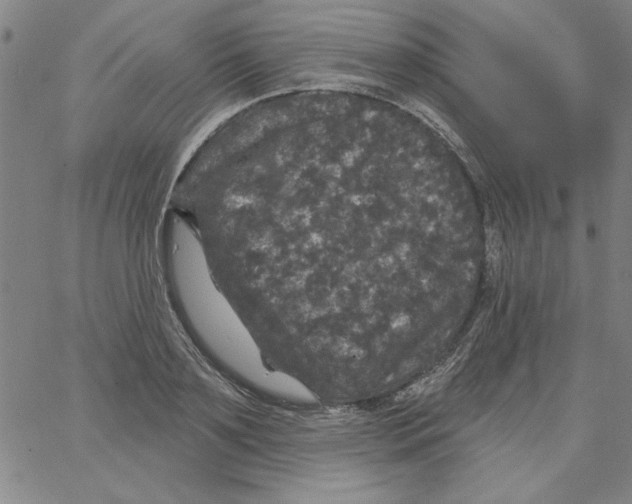 X0000066970891200604211903