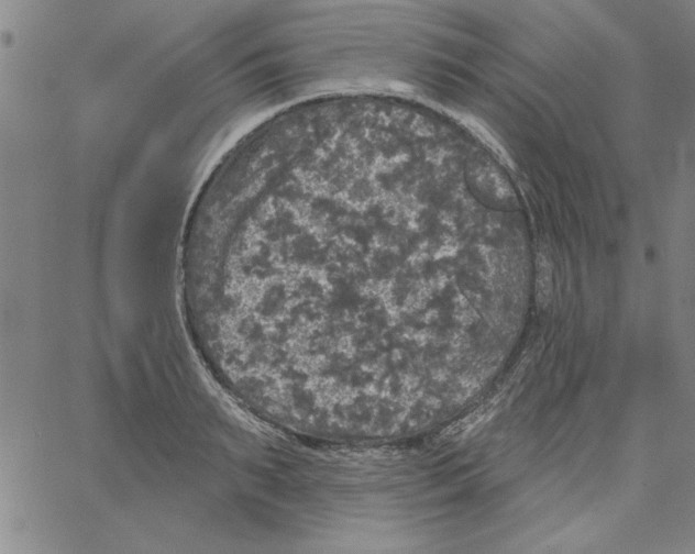 X0000066970895200604211903