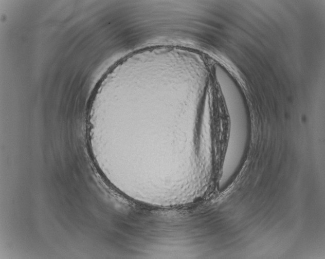 X0000066970896200604211903