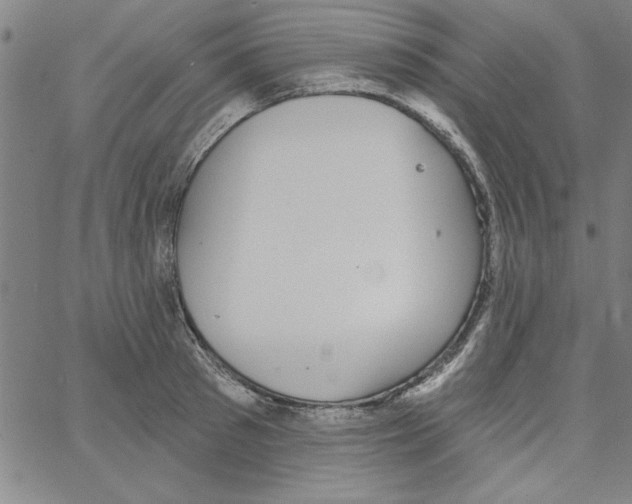 X0000066970897200604211903