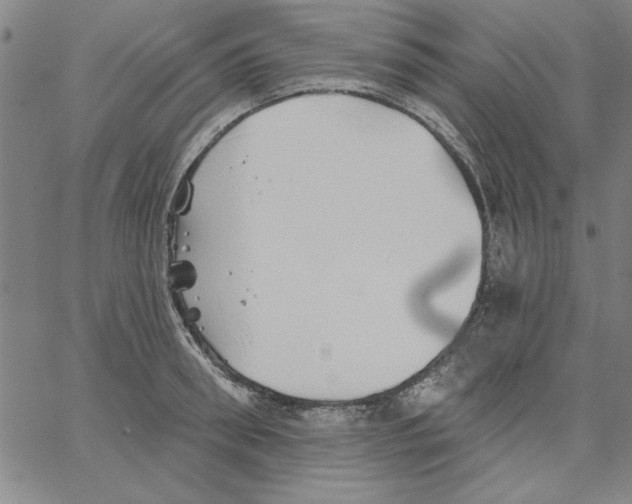 X0000066970898200604211903