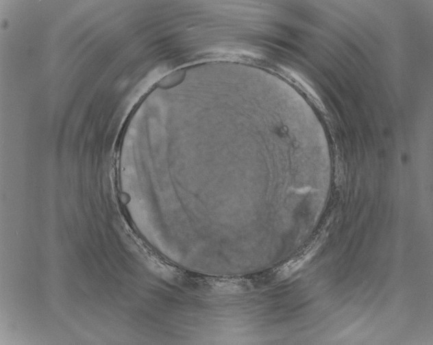 X0000066970899200604211903