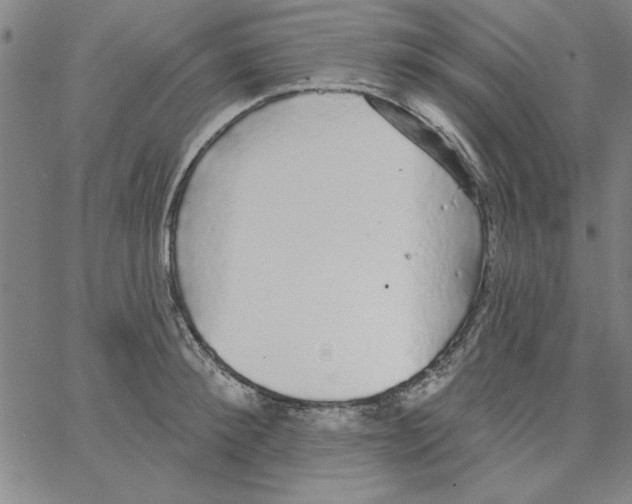 X0000066970900200604211903