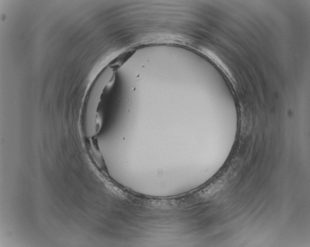 X0000066970901200604211903