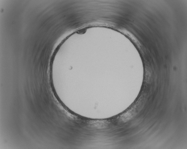 X0000066970902200604211903