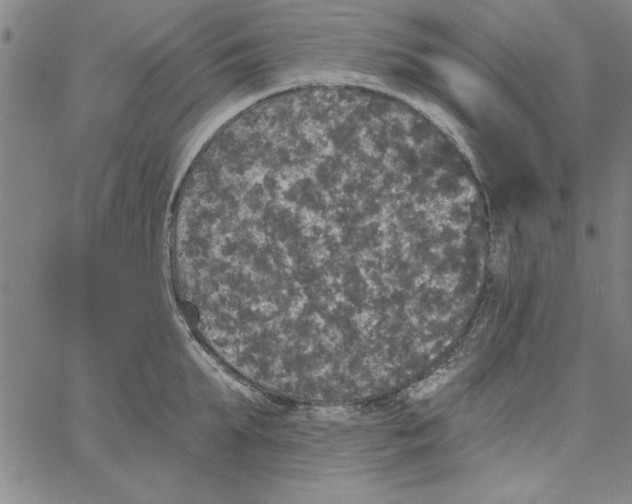 X0000066970903200604211903