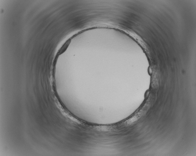 X0000066970904200604211903