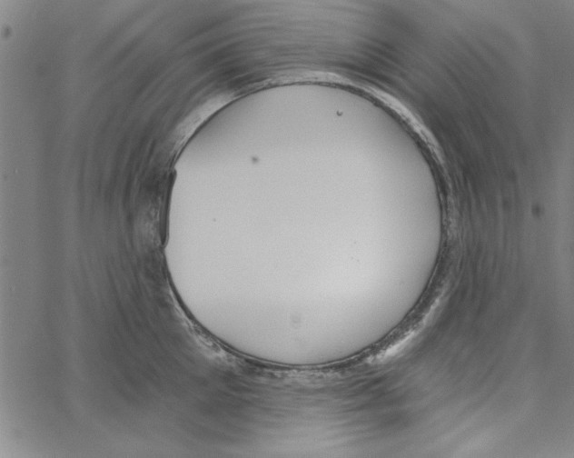 X0000066970905200604211903