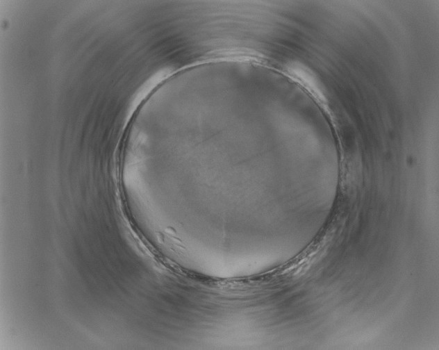 X0000066970907200604211903