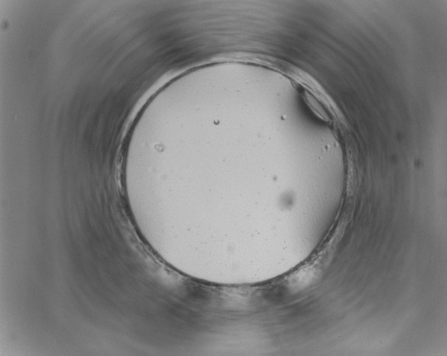 X0000066970908200604211903