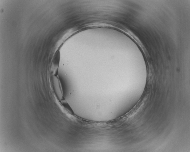 X0000066970909200604211903