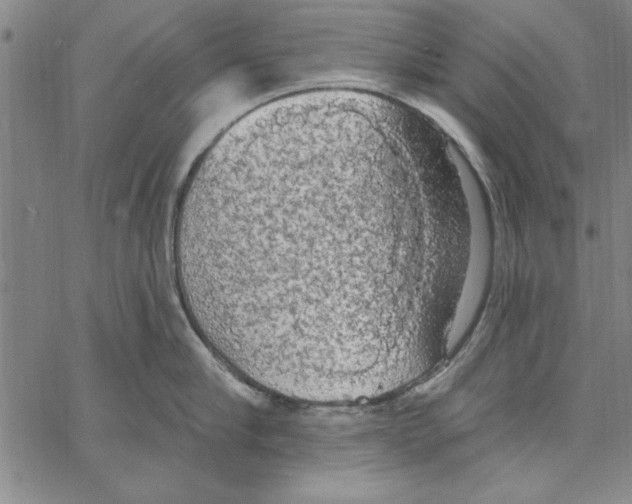 X0000066970910200604211903