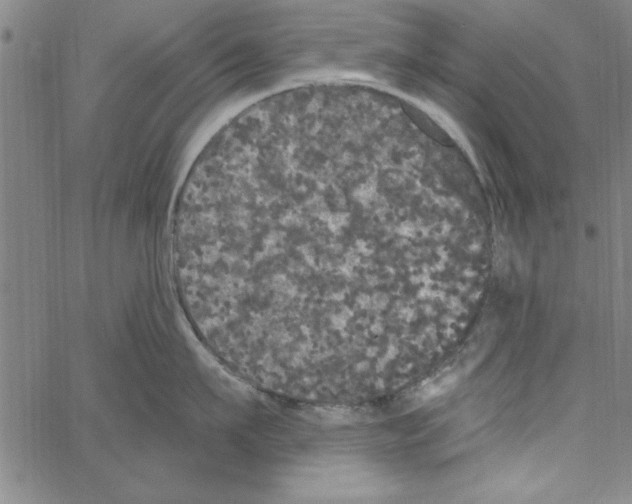 X0000066970911200604211903