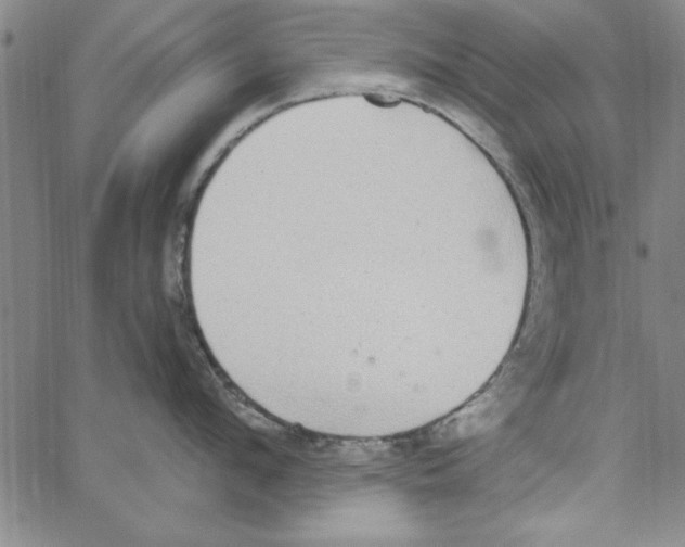 X0000066970912200604211903