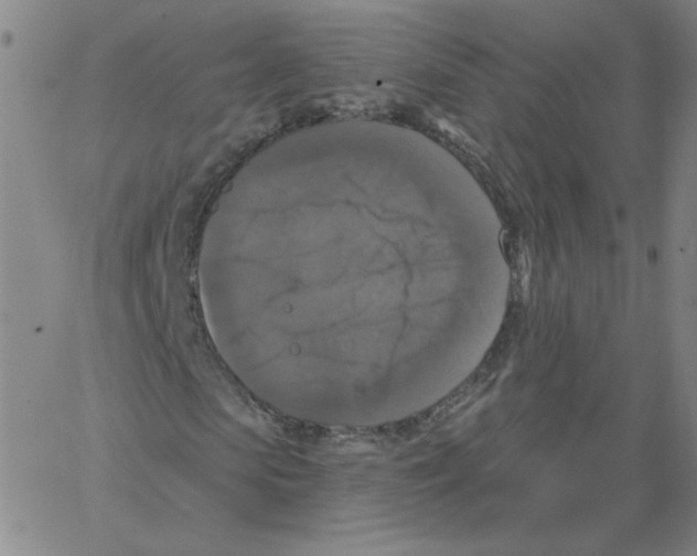 X0000066970913200604211902