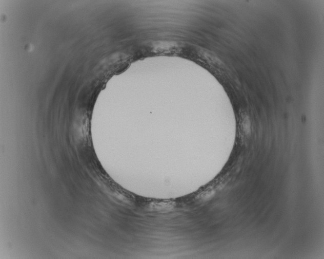 X0000066970914200604211902