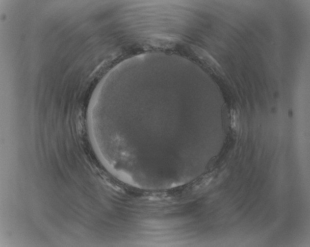 X0000066970915200604211902