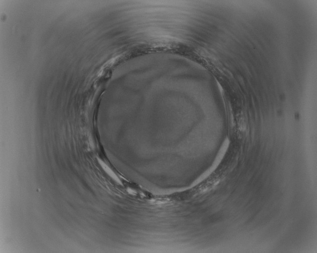 X0000066970916200604211902