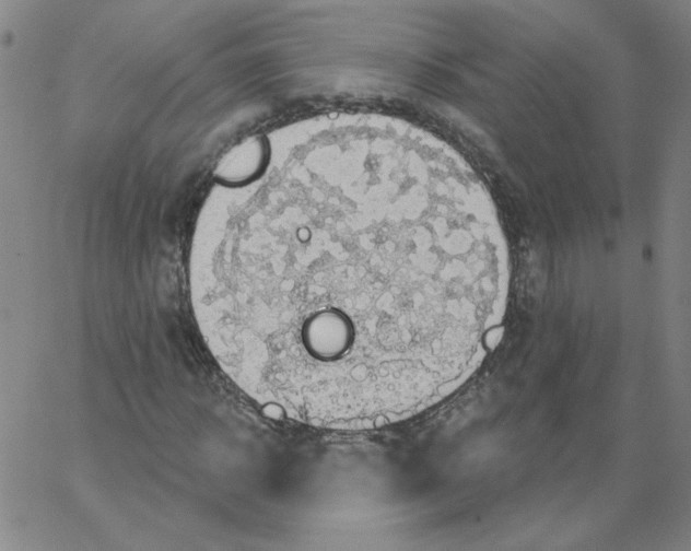 X0000066970918200604211902