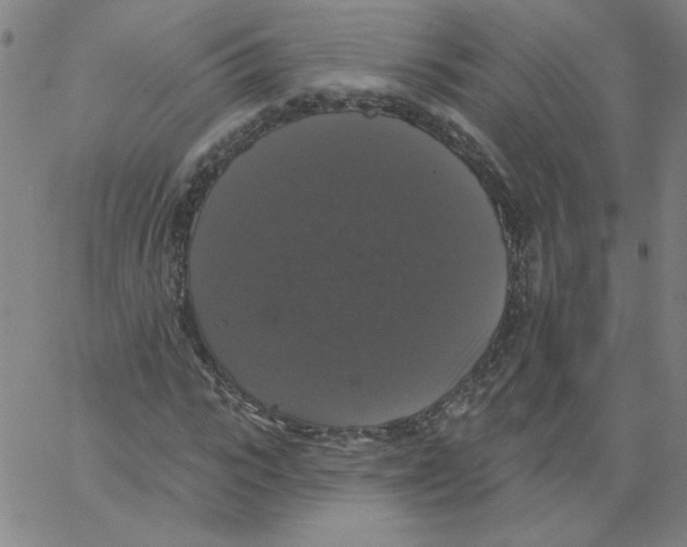 X0000066970919200604211902