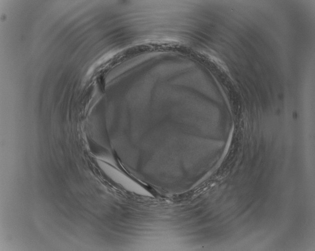 X0000066970920200604211902