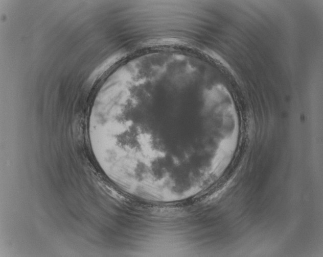 X0000066970921200604211902