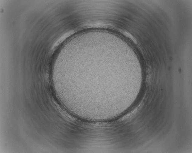 X0000066970922200604211902