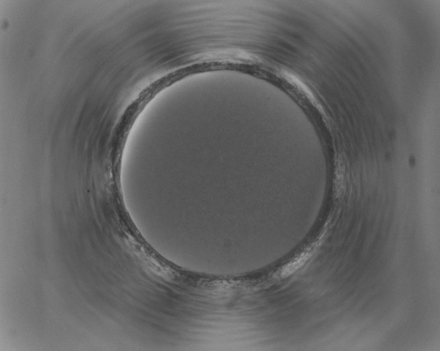 X0000066970923200604211902