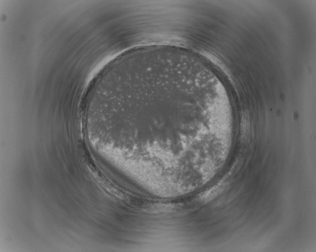 X0000066970925200604211902