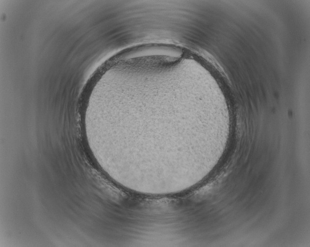 X0000066970926200604211903