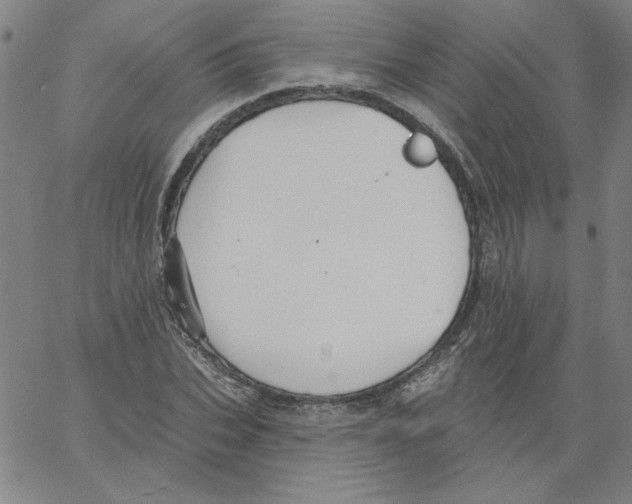 X0000066970927200604211903