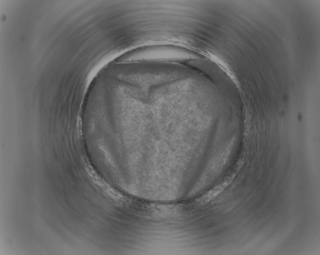 X0000066970928200604211903