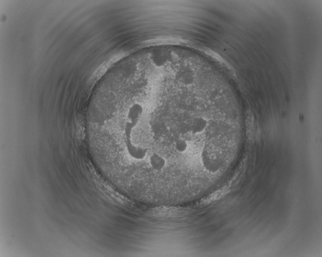 X0000066970929200604211903