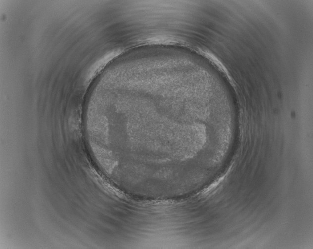 X0000066970930200604211903